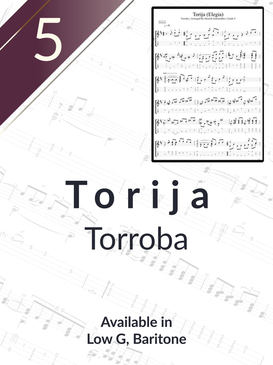 Torroba - Torija Casltes of Spain